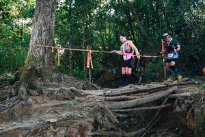 BIB: 
                            <button type="button" onclick="openModal(27755967)" class="btn btn-primary btn-sm float-right btn-popup" data-toggle="modal" data-target=".modal-high-quality">
                        <i class="fas fa-shopping-cart"></i> Add to Cart
                    </button>
                                            <button type="button" onclick="isThisMe(27755967, true)" class="btn btn-success btn-sm float-right btn-popup btn-isme hidden" data-toggle="tooltip" data-placement="bottom" title="นี่คือรูปของคุณใช่ไหม คลิกที่นี่เพื่อเอาเข้าอัลบั้ม">
                        <i class="fas fa-plus"></i> Add to album
                    </button>
                    <button type="button" onclick="isThisMe(27755967, false)" class="btn btn-warning btn-sm float-right btn-popup btn-isnotme hidden">
                        <i class="fas fa-ban"></i> Remove from album
                    </button>